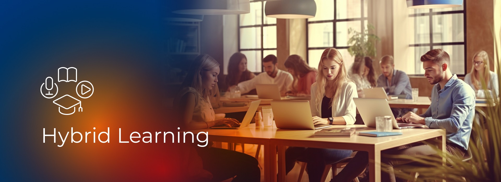 Hybrid Learning