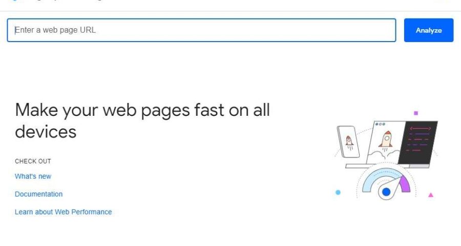 screenshot of Google PageSpeed Insights page