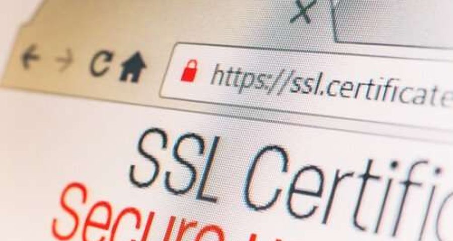 Lower rankings without HTTPS?